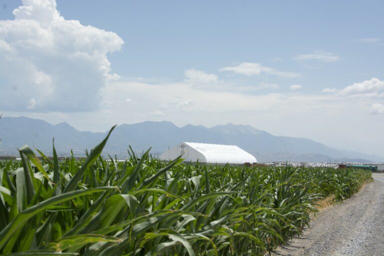 Fodder Project Sprung Project: Grov - Fodder Production Facility - Controlled ...